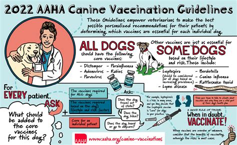 aaha vaccine guidelines dog chart